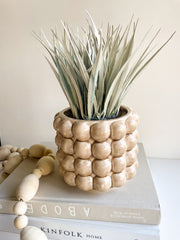 Sepia Tortoise Planter