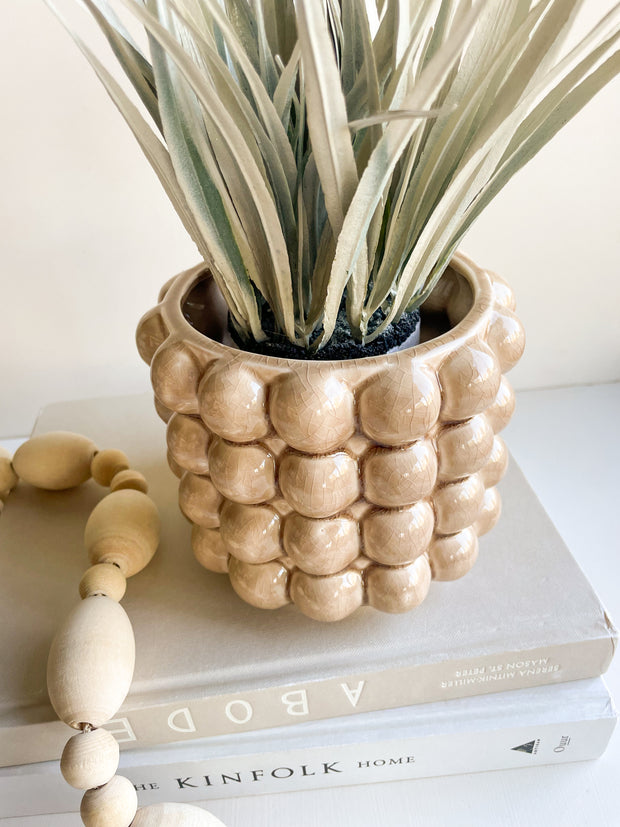 Sepia Tortoise Planter