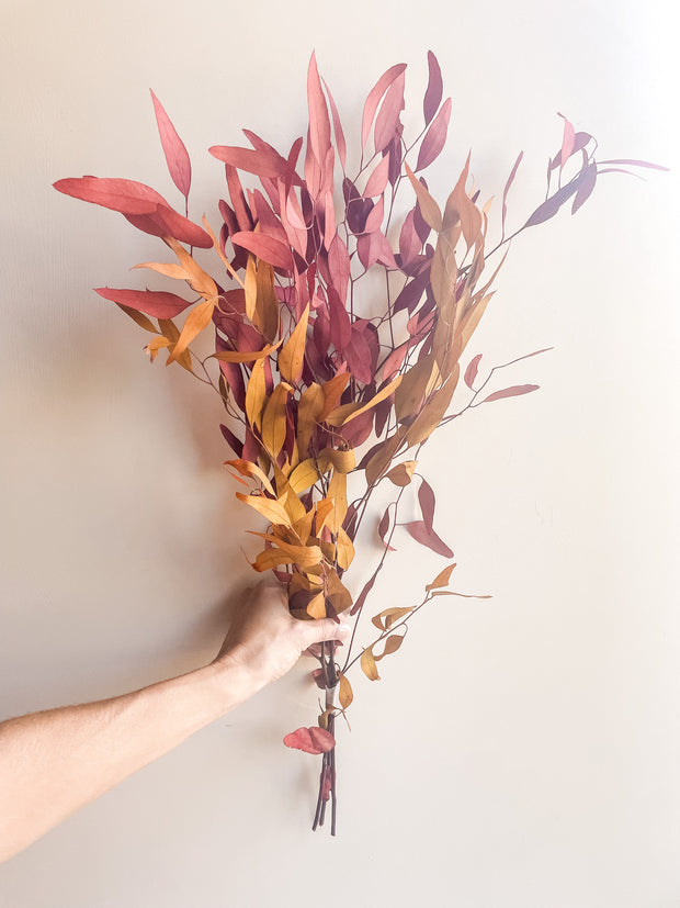 Fall Eucalyptus Blend