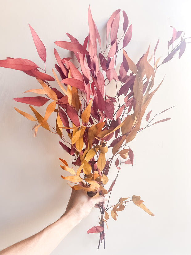 Fall Eucalyptus Blend