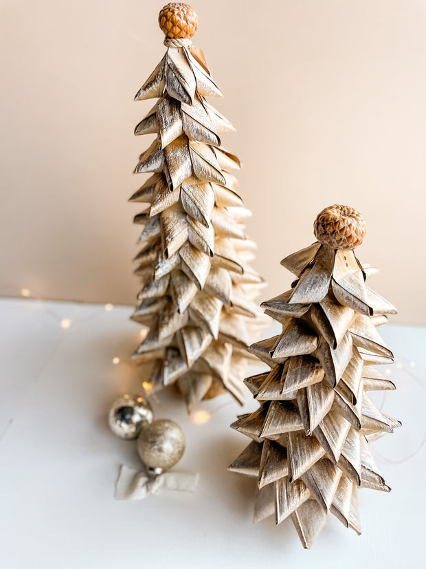 Buri Leaf Tree - Medium