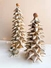 Buri Leaf Tree - Medium