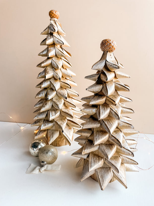 Buri Leaf Tree - Medium