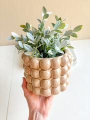 Sepia Tortoise Planter