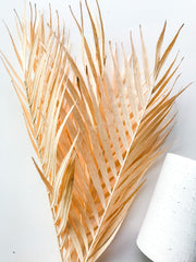 Cream Palm Leaf Bunch