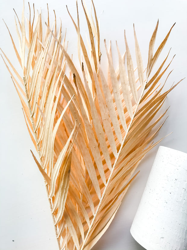 Cream Palm Leaf Bunch