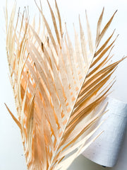 Cream Palm Leaf Bunch