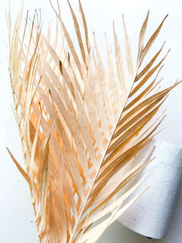 Cream Palm Leaf Bunch