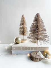 Champagne Tree - Large