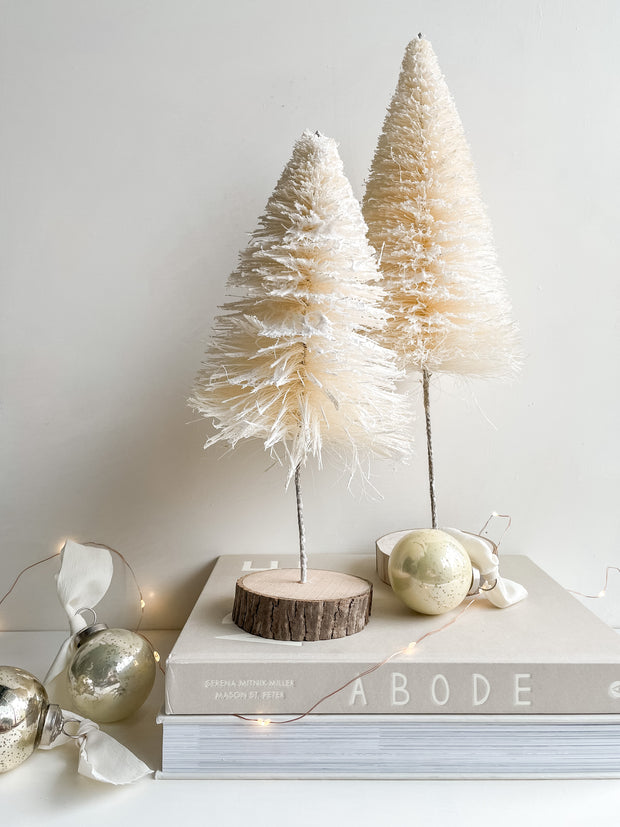 White Sisal Tree - Large