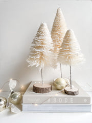 White Sisal Tree - Large